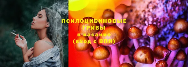 соль курить ск Алзамай