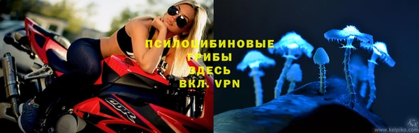 2c-b Алексин