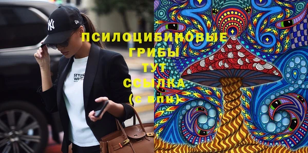 PSILOCYBIN Алексеевка