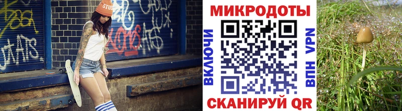 Псилоцибиновые грибы Psilocybe  сколько стоит  Туймазы 